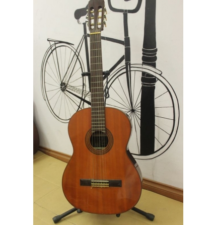 Đàn guitar Suzuki C-10